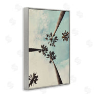 Wil Stewart | Centric Tropical Palms