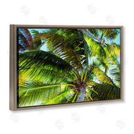Emily Navas | Swaying Palm Leaves