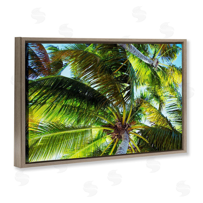 Emily Navas | Swaying Palm Leaves