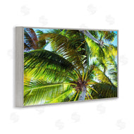 Emily Navas | Swaying Palm Leaves