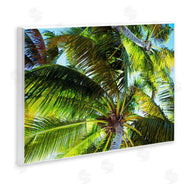 Emily Navas | Swaying Palm Leaves