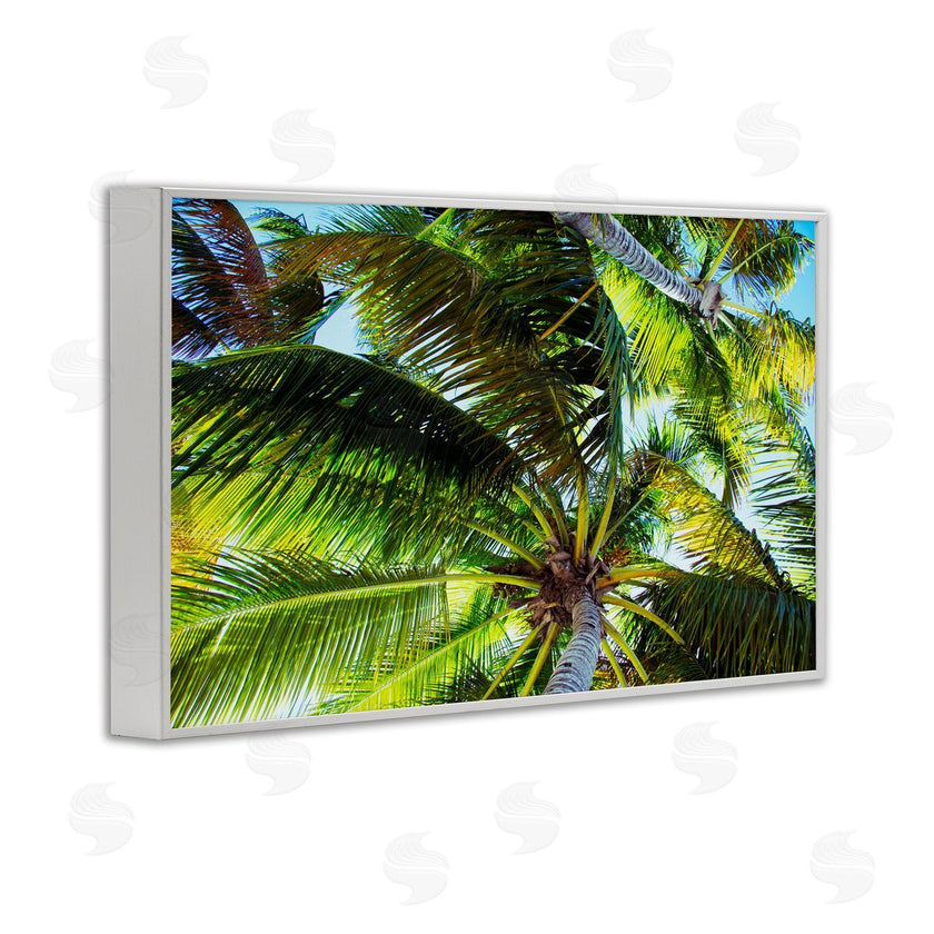 Emily Navas | Swaying Palm Leaves
