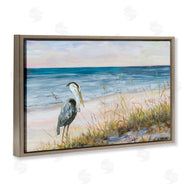 Julie DeRice | Calm Pelican on Beach