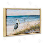 Julie DeRice | Calm Pelican on Beach