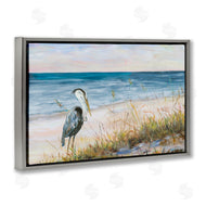Julie DeRice | Calm Pelican on Beach