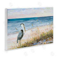 Julie DeRice | Calm Pelican on Beach