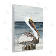 Julie DeRice | Resting Beach Pelican