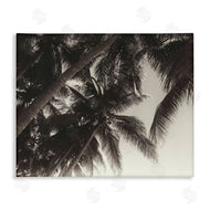 Acosta | Dark Palm Leaves