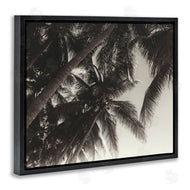 Acosta | Dark Palm Leaves