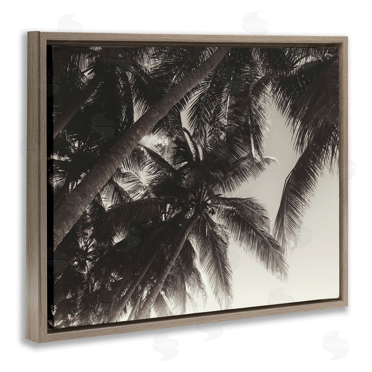 Dark Palm Leaves Brown Floating Frame Canvas Wall Art, Home Decor by Acosta