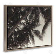 Acosta | Dark Palm Leaves