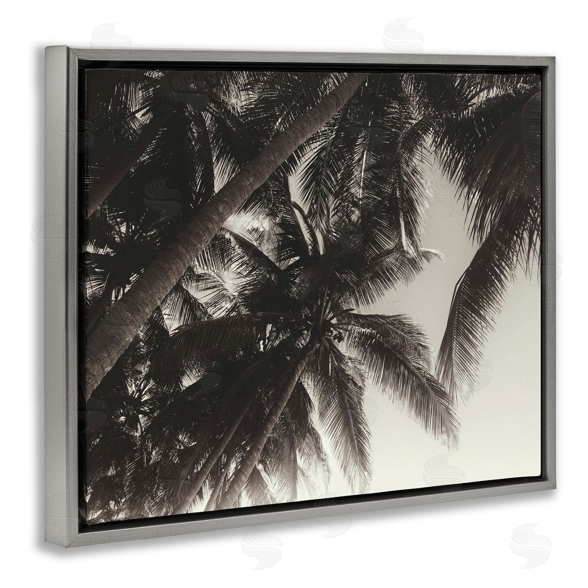 Dark Palm Leaves Grey Floating Frame Canvas Wall Art, Home Decor by Acosta