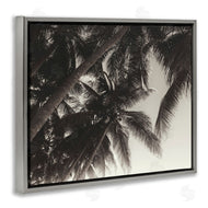 Acosta | Dark Palm Leaves
