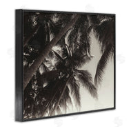 Acosta | Dark Palm Leaves