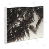 Acosta | Dark Palm Leaves