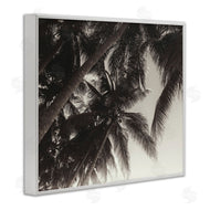 Acosta | Dark Palm Leaves
