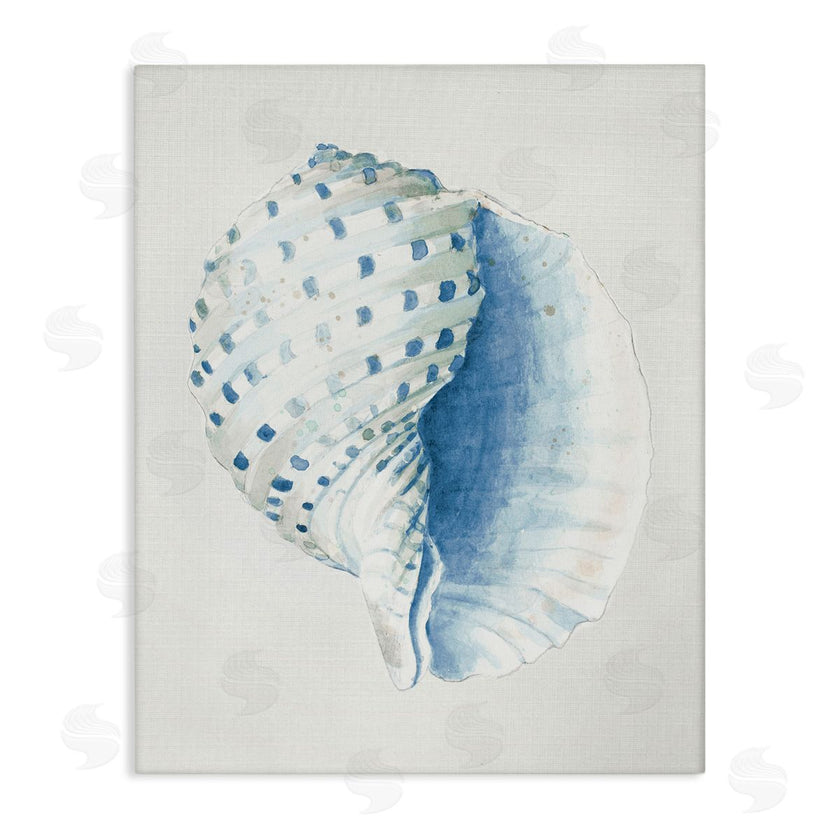 Patricia Pinto | Spotted Conch Shell