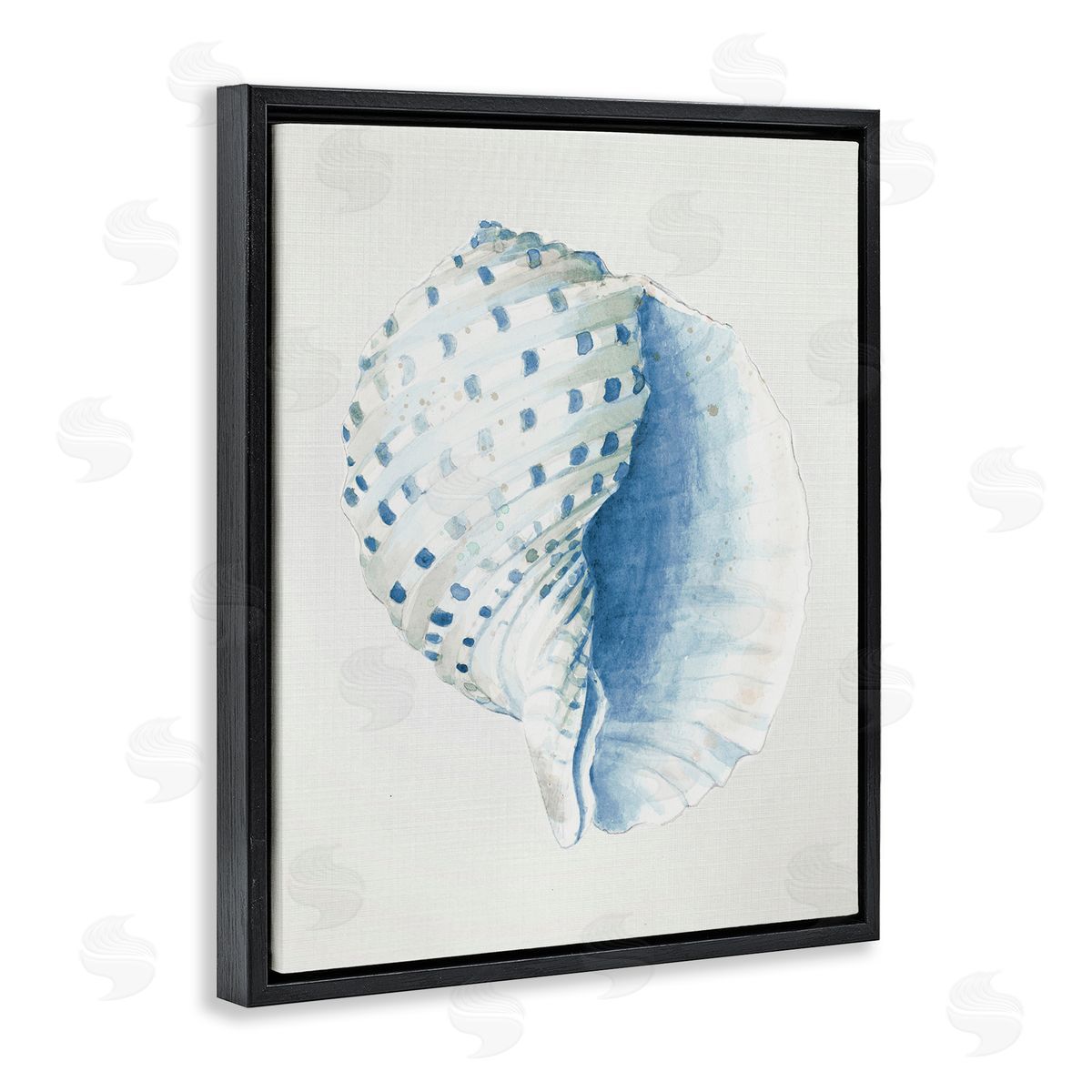 Spotted Conch Shell Black Floating Frame Canvas Wall Art, Home Decor by Patricia Pinto