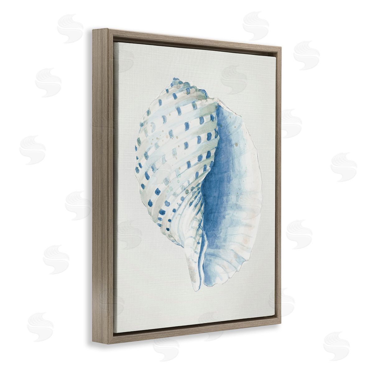Spotted Conch Shell Brown Floating Frame Canvas Wall Art, Home Decor by Patricia Pinto