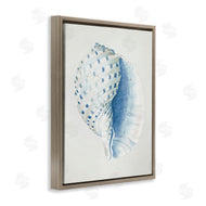 Patricia Pinto | Spotted Conch Shell