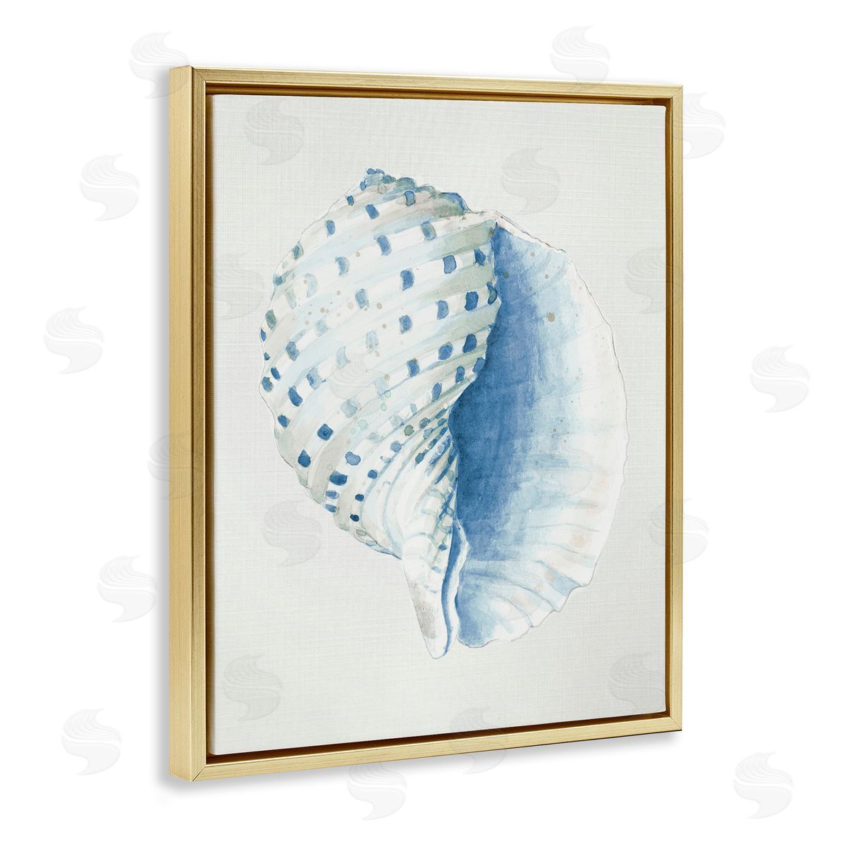 Spotted Conch Shell Gold Floating Frame Canvas Wall Art, Home Decor by Patricia Pinto