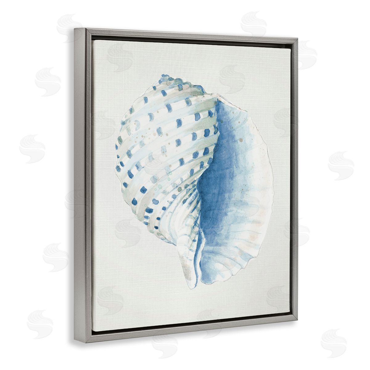 Spotted Conch Shell Grey Floating Frame Canvas Wall Art, Home Decor by Patricia Pinto