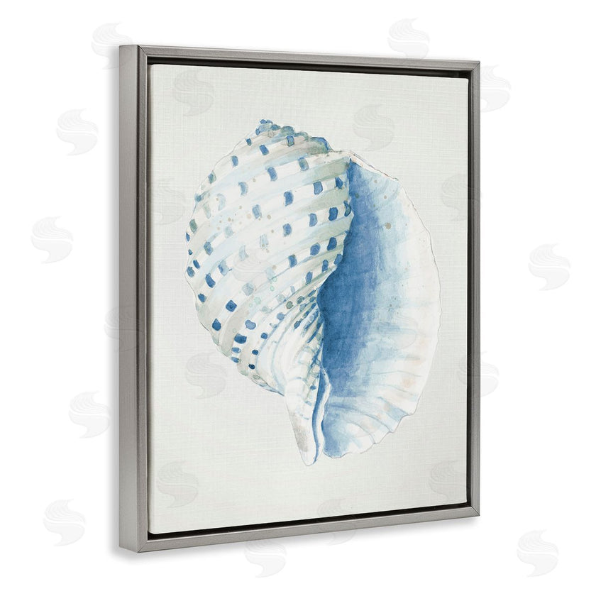 Patricia Pinto | Spotted Conch Shell