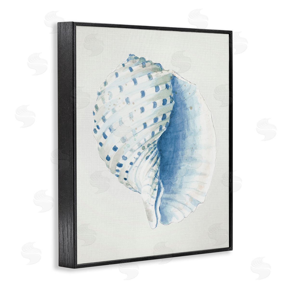 Spotted Conch Shell Black Frame Print Wall Art, Home Decor by Patricia Pinto