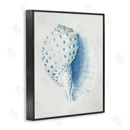 Patricia Pinto | Spotted Conch Shell
