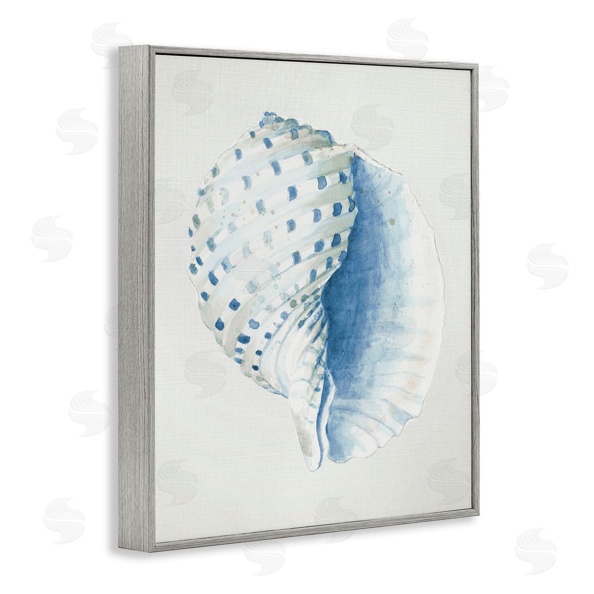Spotted Conch Shell Grey Frame Print Wall Art, Home Decor by Patricia Pinto