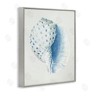 Patricia Pinto | Spotted Conch Shell