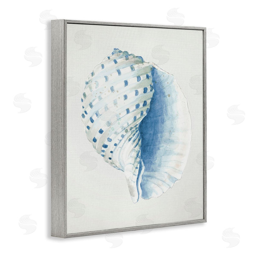 Patricia Pinto | Spotted Conch Shell