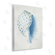 Patricia Pinto | Spotted Conch Shell