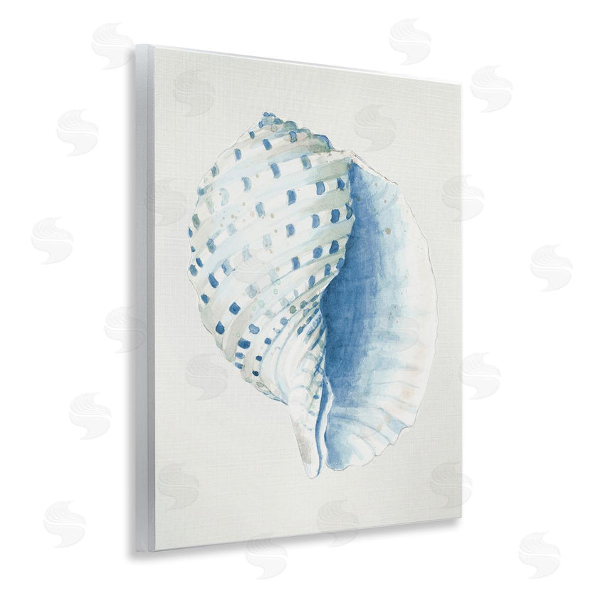 Patricia Pinto | Spotted Conch Shell