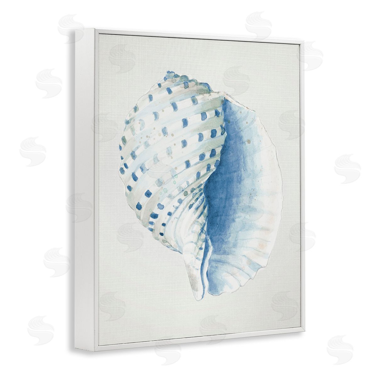 Spotted Conch Shell White Frame Print Wall Art, Home Decor by Patricia Pinto