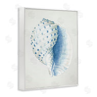 Patricia Pinto | Spotted Conch Shell