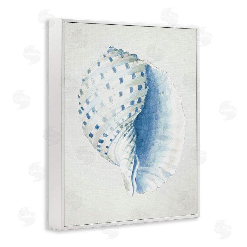 Patricia Pinto | Spotted Conch Shell
