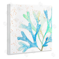 Patricia Pinto | Modern Blue Coral