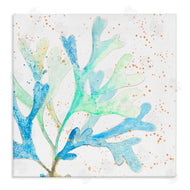 Patricia Pinto | Speckled Modern Coral
