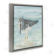 Julie DeRice | Sandpiper on Shallow Shore