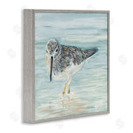 Julie DeRice | Sandpiper on Shallow Shore