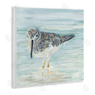 Julie DeRice | Sandpiper on Shallow Shore