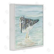 Julie DeRice | Sandpiper on Shallow Shore