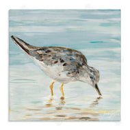 Julie DeRice | Grey Beach Sandpiper