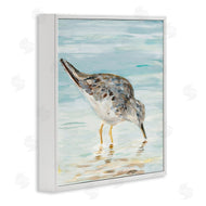 Julie DeRice | Grey Beach Sandpiper