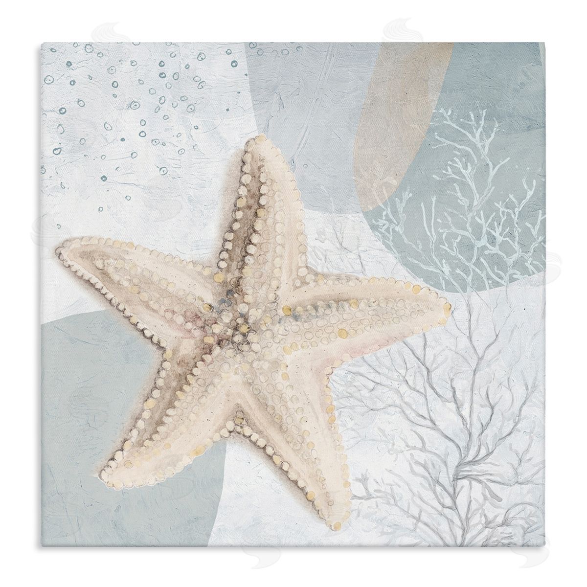 Starfish over Circle Pattern Canvas Wall Art, Home Decor by Patricia Pinto