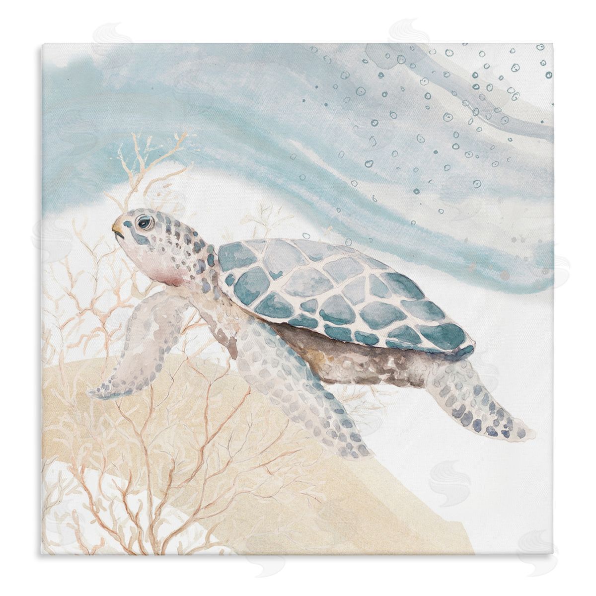 Swimming Aquatic Turtle Canvas Wall Art, Home Decor by Patricia Pinto
