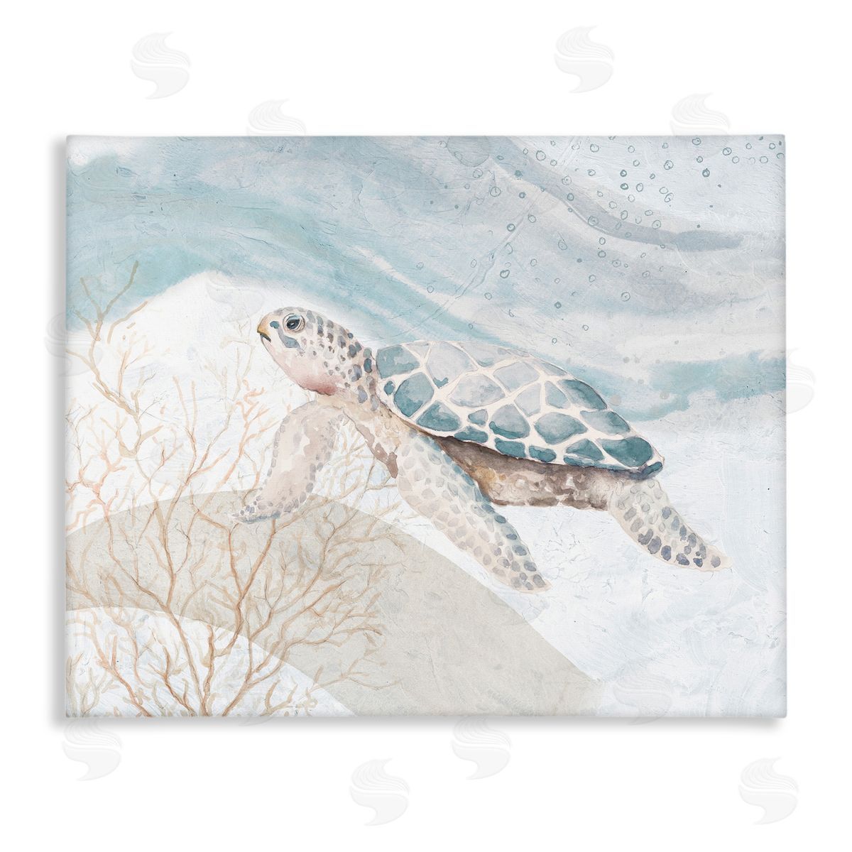 Turtle on Brushed Pattern Canvas Wall Art, Home Decor by Patricia Pinto