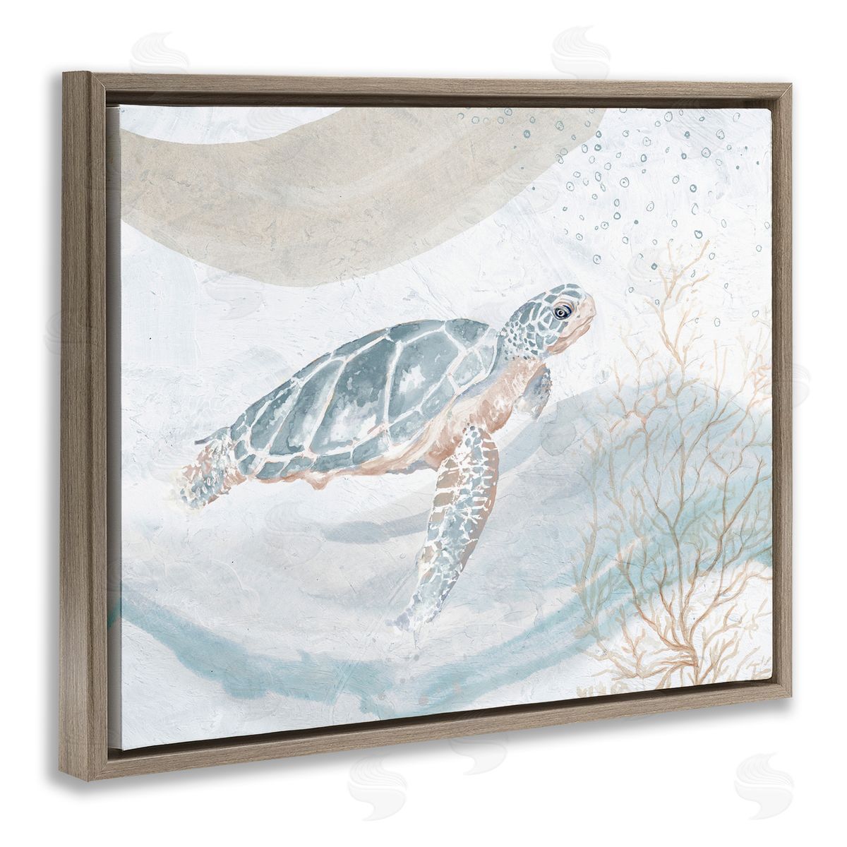 Turtle Watercolor Style Brown Floating Frame Canvas Wall Art, Home Decor by Patricia Pinto