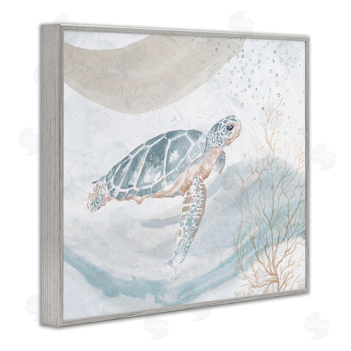 Turtle Watercolor Style Grey Frame Print Wall Art, Home Decor by Patricia Pinto